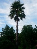 20150817_193747