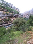 20170627_092808