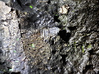 20190210_214538