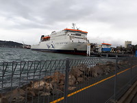 20190223_202151