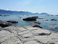 20190226_130626