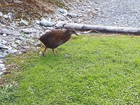 20190310_185829