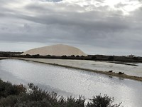 Salina in Fuseta