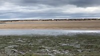 Ria Formosa