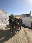 Feestje voor de signores in Sanlúcar