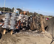 Sardientjes aan een stokje op een vuurtje