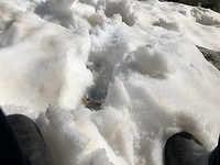 Het was even winter in Zuid-Oost Spanje van 19 t/m 23 Jan. 2020