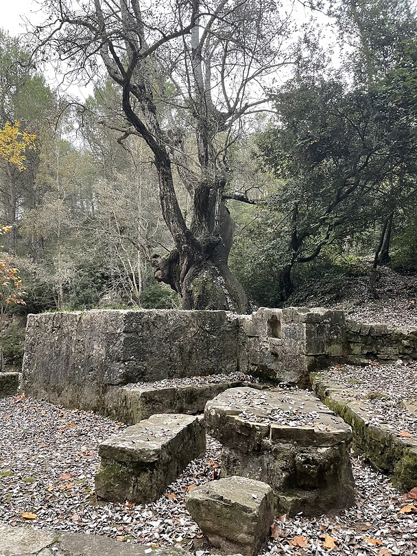 Bron La Llacuna