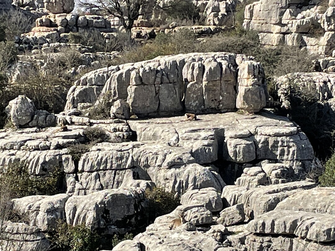 Parc El Torcal