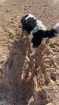 Beike en de 🥎