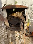 BBQ