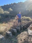 Stepping stones