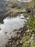 Oversteek tijdens wandeling