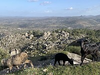 Uitzicht bij CP in Marvao