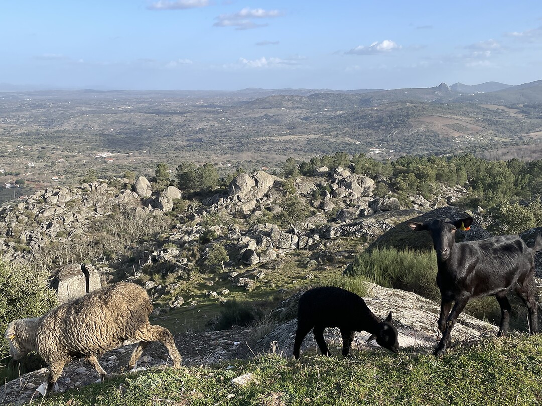Uitzicht bij CP in Marvao