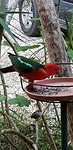 IMG-20180922-WA0005