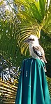IMG-20180922-WA0018