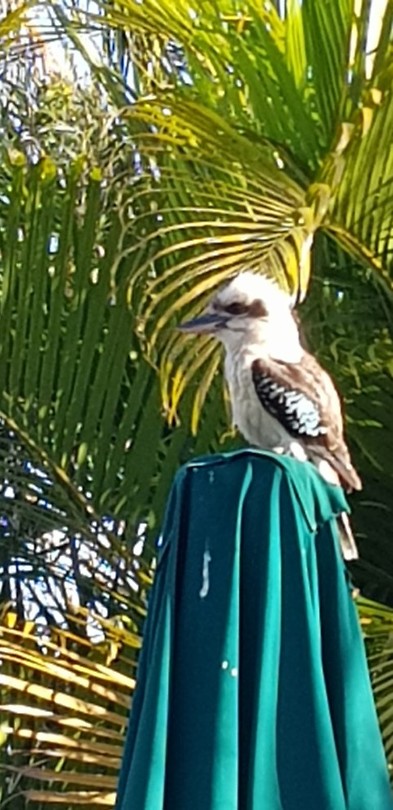 IMG-20180922-WA0018
