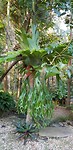 IMG-20180922-WA0046