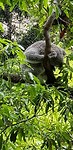IMG-20180925-WA0013