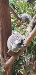 IMG-20180925-WA0014