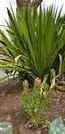 IMG-20180925-WA0015