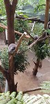 IMG-20180925-WA0003
