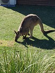 20180930_152209