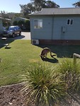 20180930_152152