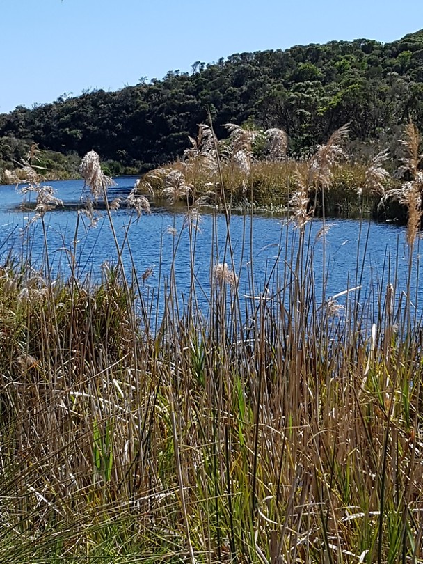 20181006_105516
