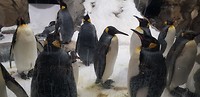 IMG-20181013-WA0002