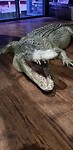 IMG-20181013-WA0016