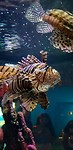 IMG-20181013-WA0022