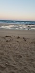 IMG-20181012-WA0005