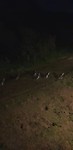 IMG-20181012-WA0007