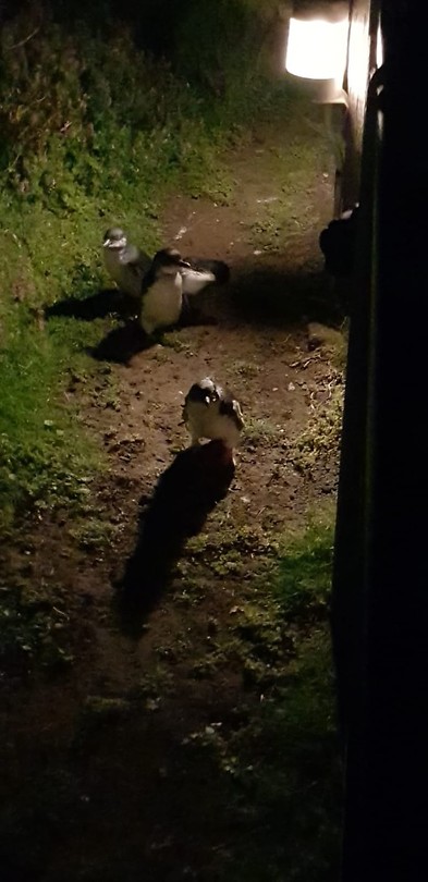 IMG-20181012-WA0009