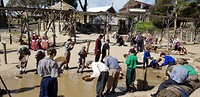 IMG-20181019-WA0022