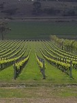 20181025_092027
