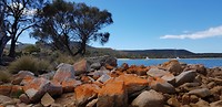 IMG-20181024-WA0086