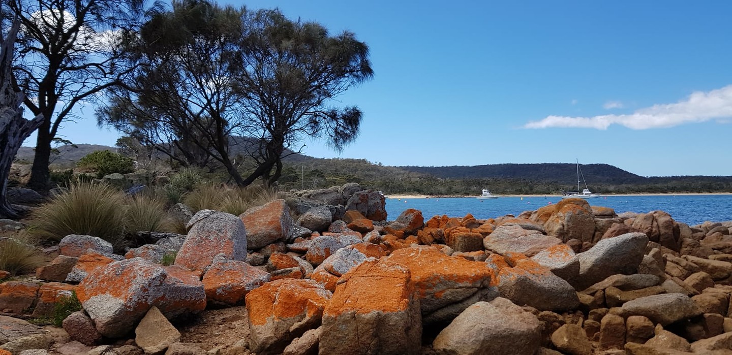 IMG-20181024-WA0086