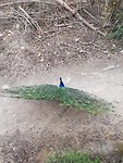 20181026_161003