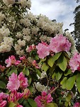 20181026_160119