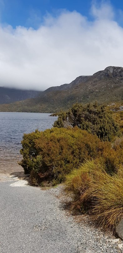 IMG-20181028-WA0004