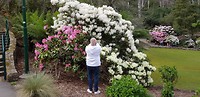 IMG-20181026-WA0113
