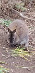 IMG-20181026-WA0102
