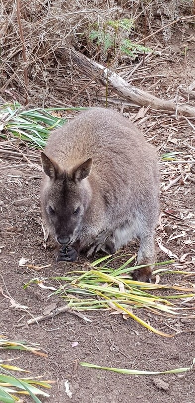 IMG-20181026-WA0102