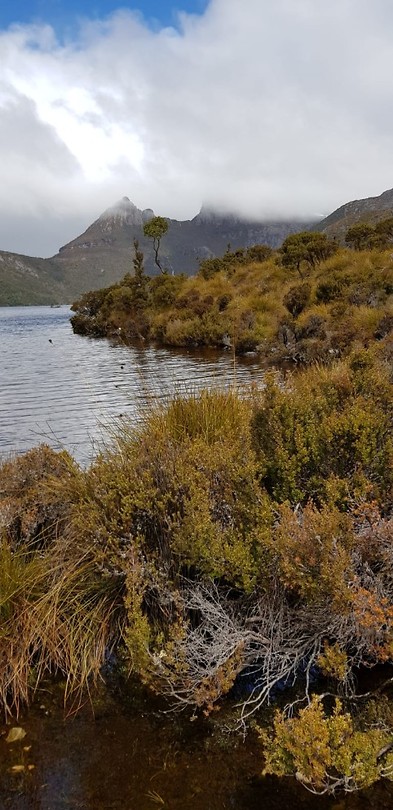 IMG-20181028-WA0006