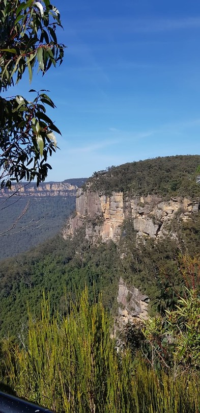IMG-20181101-WA0019