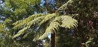 IMG-20181101-WA0007