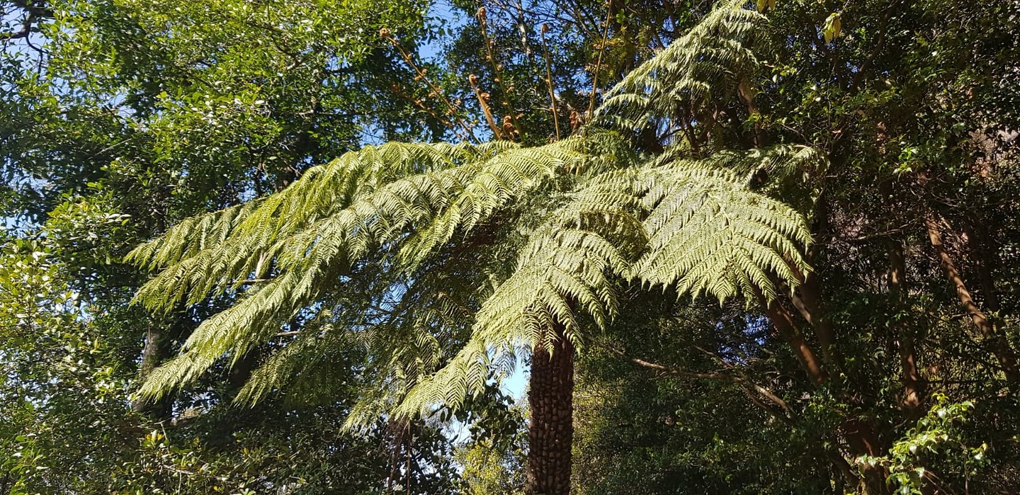 IMG-20181101-WA0007